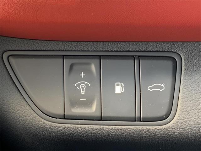 Photo of 2023 Vik Black Genesis G70