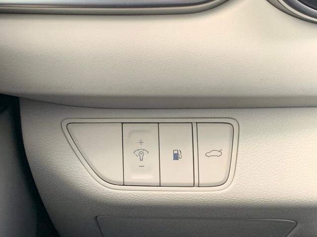 Photo of 2025 Vik Black Genesis G70