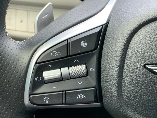 Photo of 2025 Vik Black Genesis G70