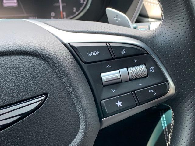Photo of 2025 Vik Black Genesis G70