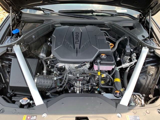 Photo of 2025 Vik Black Genesis G70