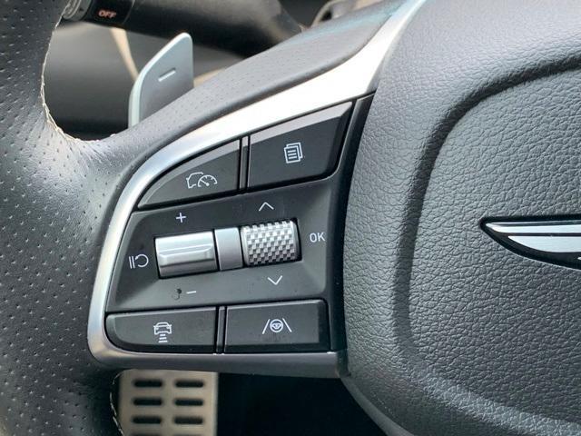Photo of 2025 Vik Black Genesis G70