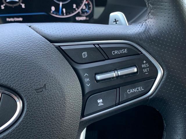 Photo of 2020 Rainforest Hyundai PALISADE