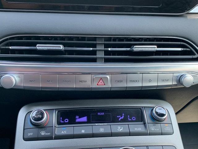 Photo of 2020 Rainforest Hyundai PALISADE