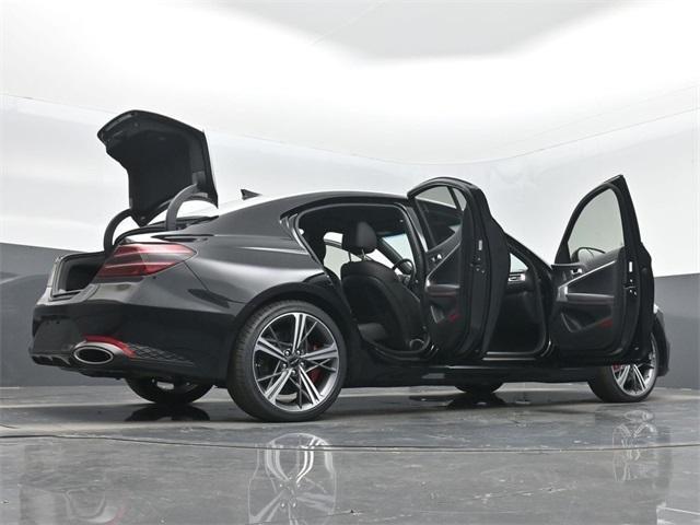 Photo of 2024 Vik Black Genesis G70