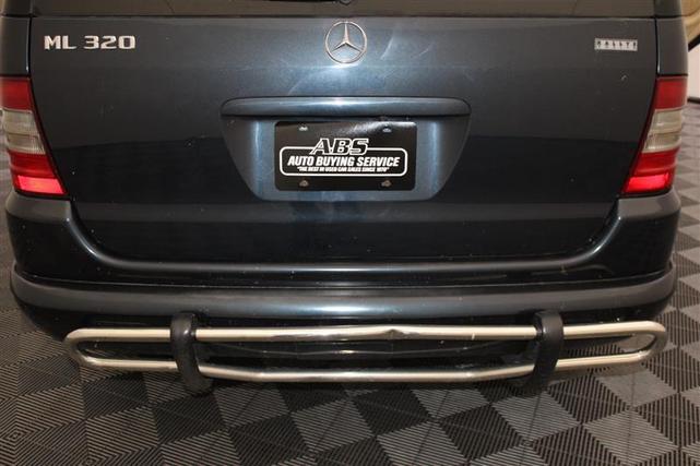 Photo of 2000 Azure Blue Mercedes-Benz M-Class