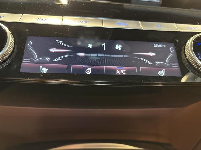 Photo of 2024 Vik Black Genesis G80