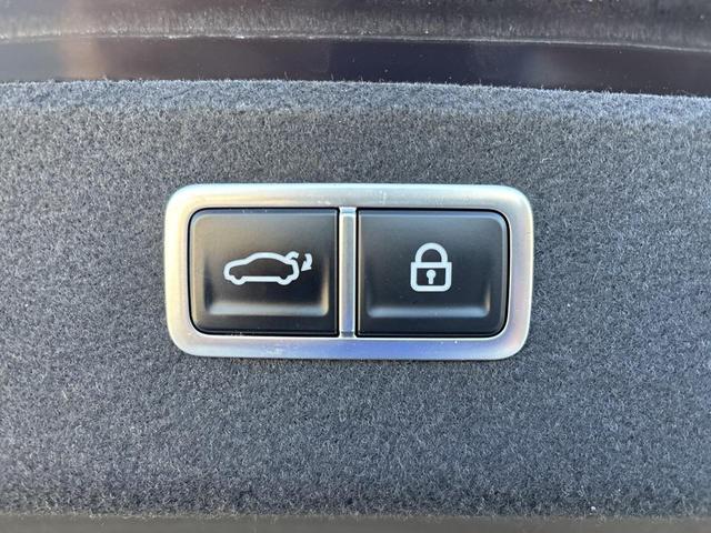Photo of 2024 Vik Black Genesis G80