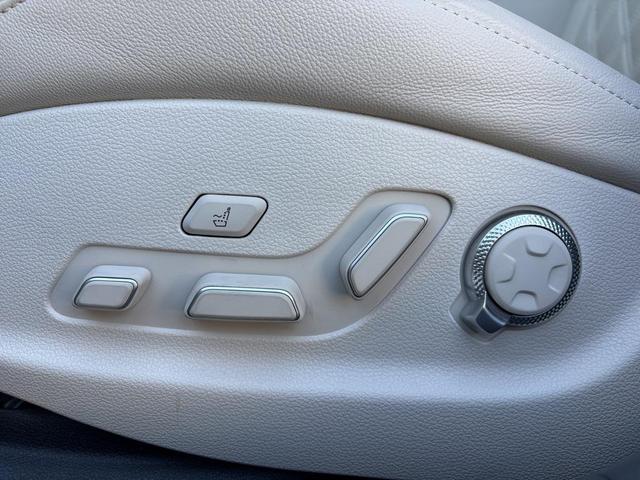 Photo of 2024 Vik Black Genesis G80