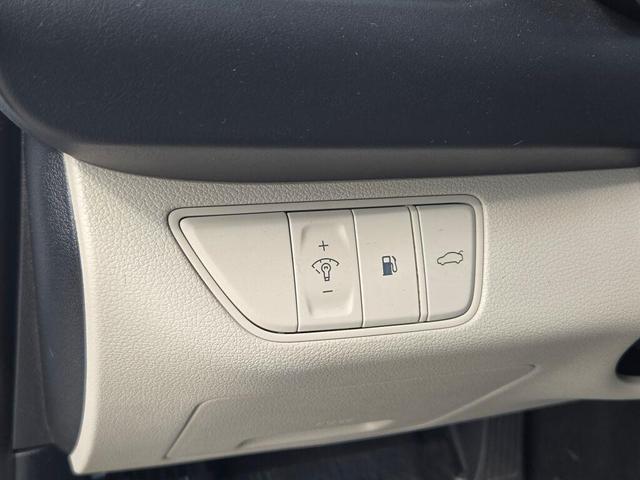 Photo of 2022 Siberian Ice Genesis G70