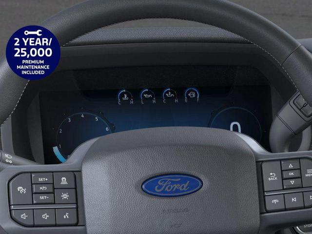 Photo of 2025 Oxford White Ford F-150
