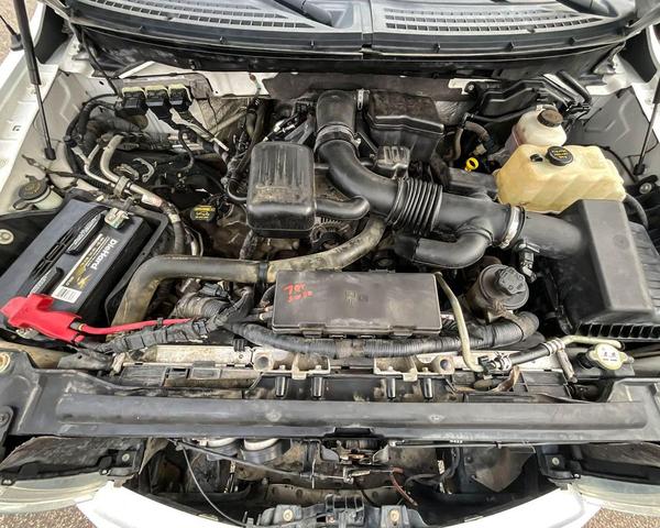 Photo of 2010 White Ford F-150