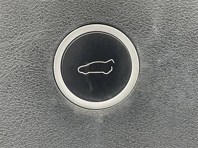 Photo of 2020 Pearl White Multi-Coat Tesla Model X