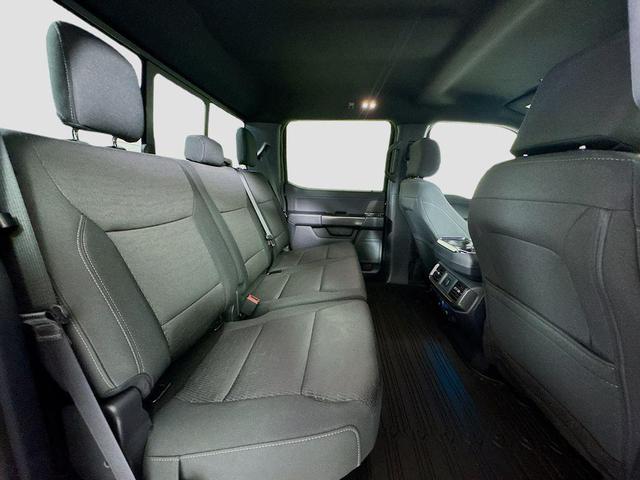 Photo of 2024 Agate Black Metallic Ford F-150