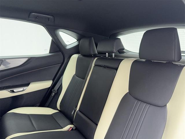 Photo of 2023 Redline Lexus NX 250