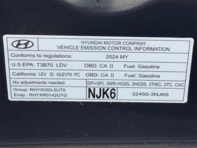 Photo of 2024 Vik Black Genesis GV70