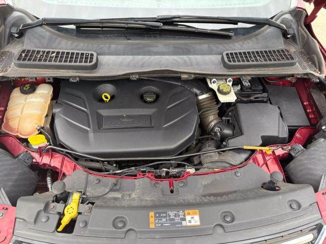 Photo of 2014 Red Ford Escape
