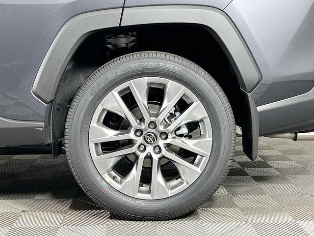Photo of 2025 Magnetic Gray Metallic Toyota RAV4