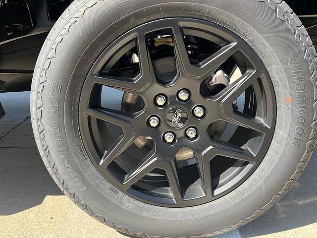 Photo of 2025 Agate Black Metallic Ford F-150
