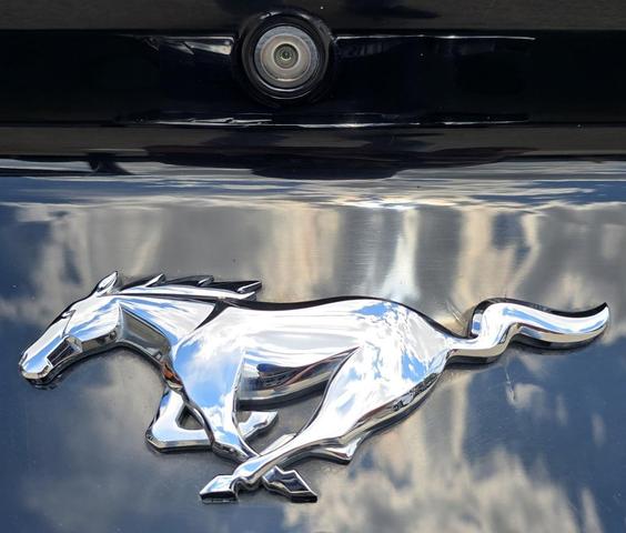 Photo of 2019 Shadow Black Ford Mustang
