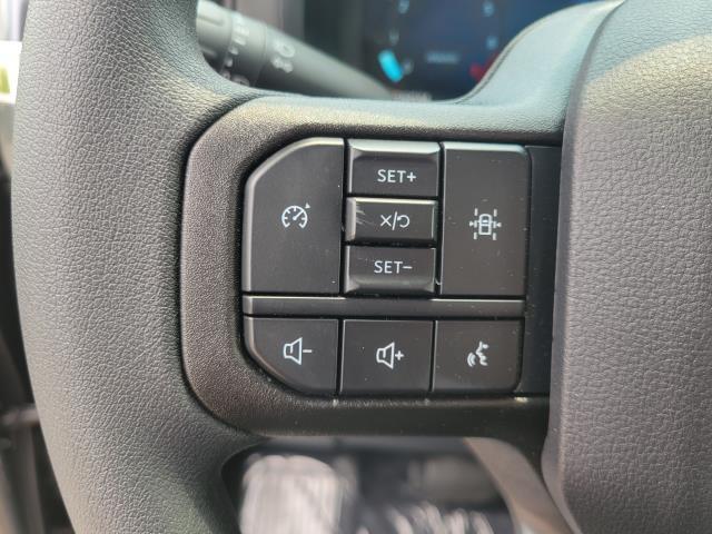 Photo of 2025 Carbonized Gray Metallic Ford F-150