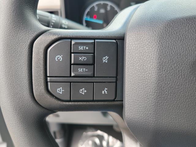 Photo of 2025 Avalanche Ford F-250