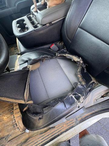 Photo of 2019  Chevrolet Silverado 1500