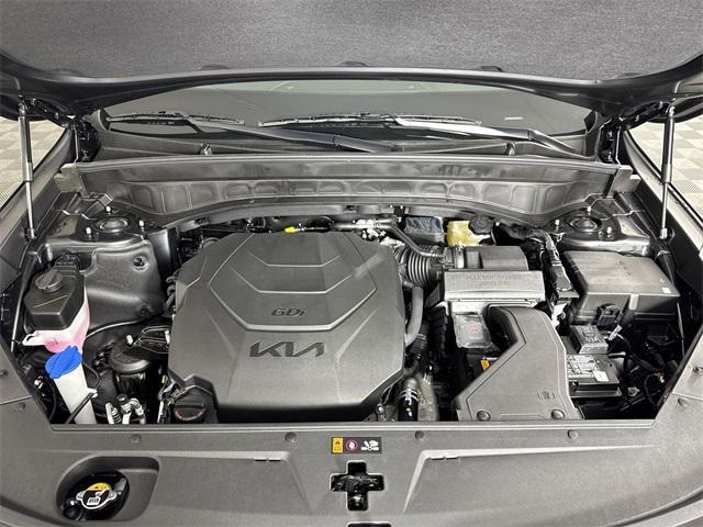Photo of 2025 Ebony Black Kia Telluride