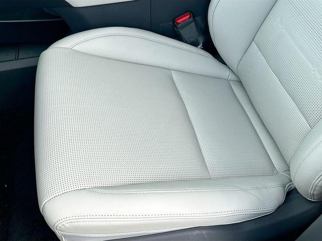 Photo of 2025 Green Hyundai SANTA FE HEV