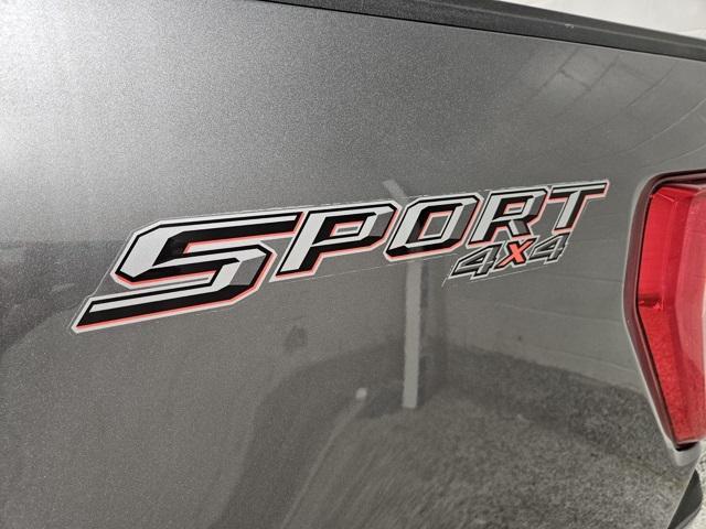 Photo of 2022 Carbonized Gray Metallic Ford F-150