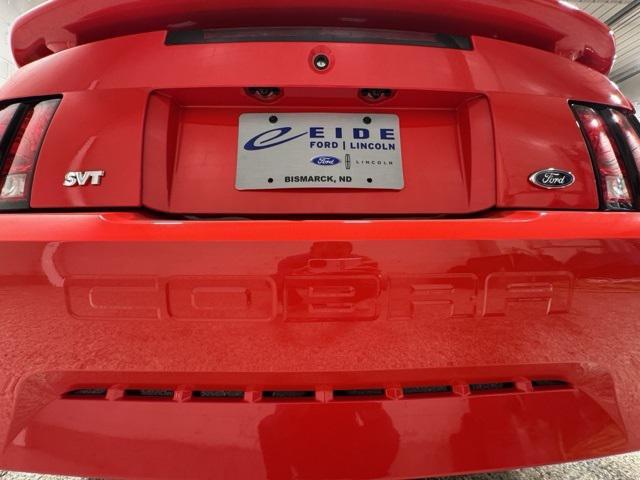 Photo of 2001 Performance Red Clearcoat Ford Mustang