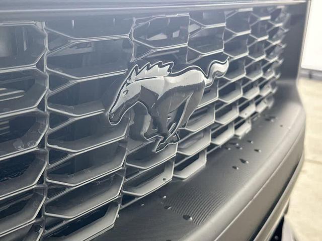 Photo of 2025 Shadow Black Ford Mustang