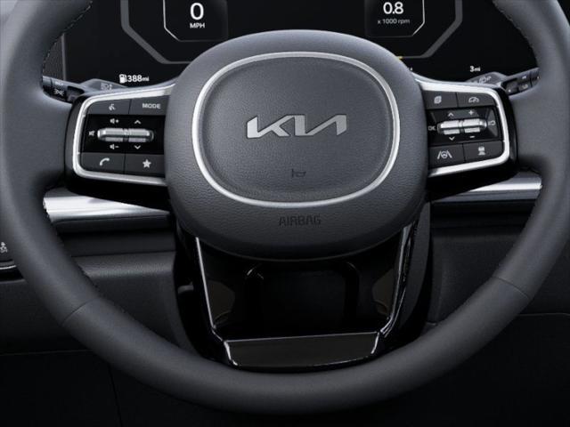 Photo of 2026 Panthera Metal Kia Carnival