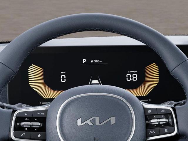 Photo of 2026 Panthera Metal Kia Carnival