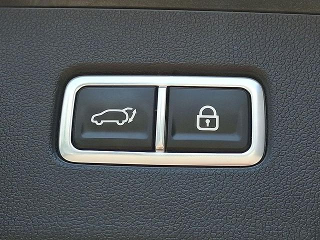 Photo of 2022 Aruba Green Kia Sorento