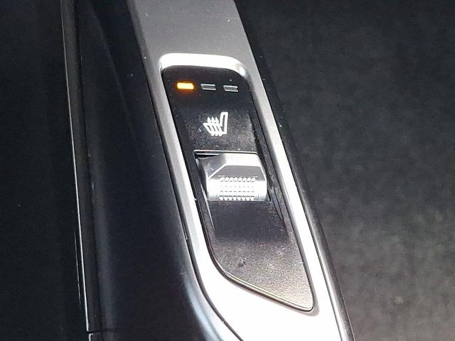 Photo of 2022 Aruba Green Kia Sorento