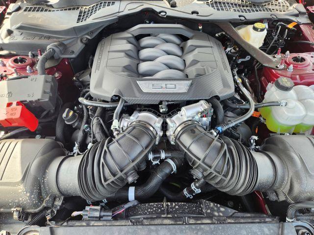 Photo of 2025 Magenta Ford Mustang