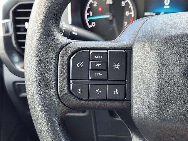 Photo of 2021 Lead Foot Ford F-150