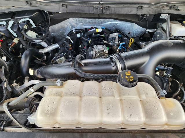 Photo of 2021 Lead Foot Ford F-150