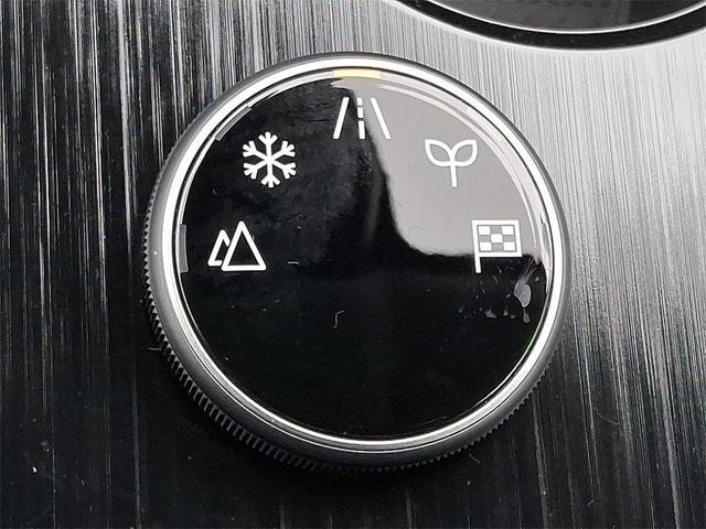 Photo of 2025 Everest White P Nissan Rogue