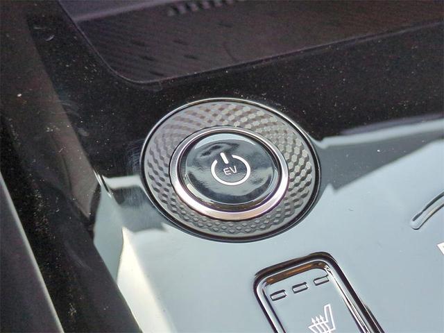 Photo of 2025 Steel Gray Kia Niro EV