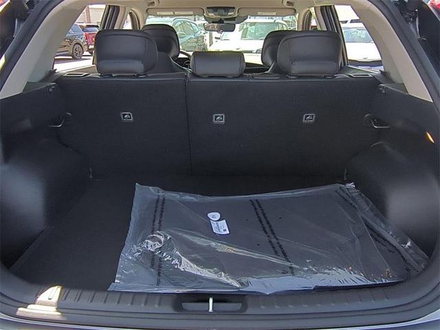 Photo of 2025 Steel Gray Kia Niro EV