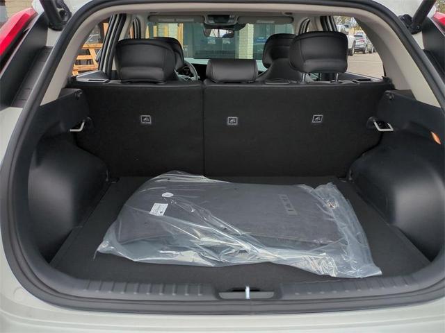 Photo of 2025 Snow White Pearl Kia Niro EV