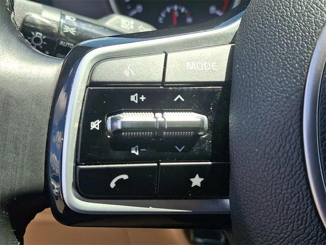 Photo of 2022 Pantera Metal Kia Carnival