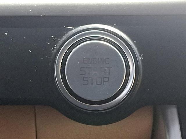 Photo of 2022 Pantera Metal Kia Carnival