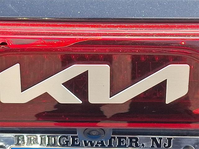 Photo of 2022 Pantera Metal Kia Carnival