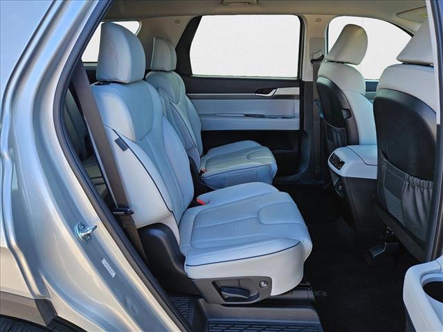 Photo of 2024 Typhoon Silver Hyundai PALISADE