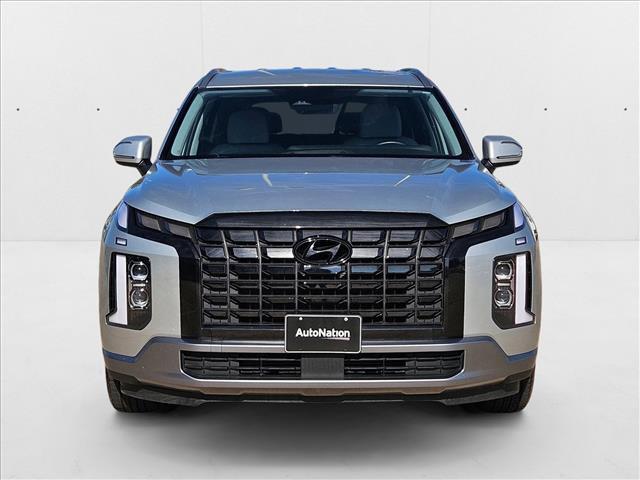 Photo of 2024 Typhoon Silver Hyundai PALISADE
