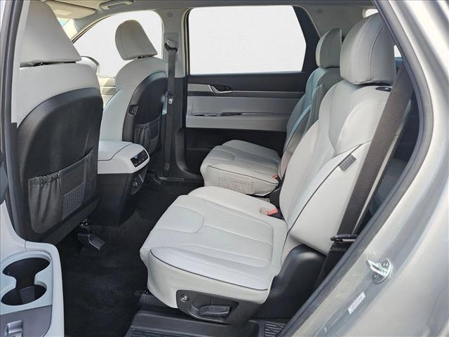 Photo of 2024 Typhoon Silver Hyundai PALISADE