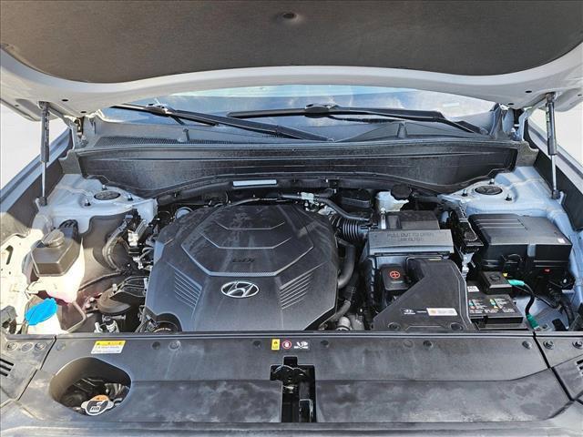 Photo of 2024 Typhoon Silver Hyundai PALISADE